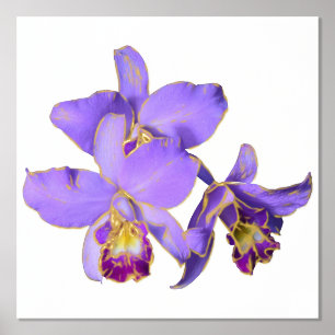 Right Purple Orchid Group Print Poster