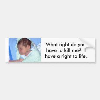 Right to life bumper sticker