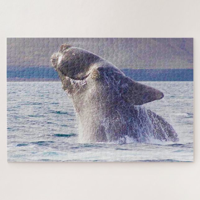Right Whale Jigsaw Puzzle (Horizontal)