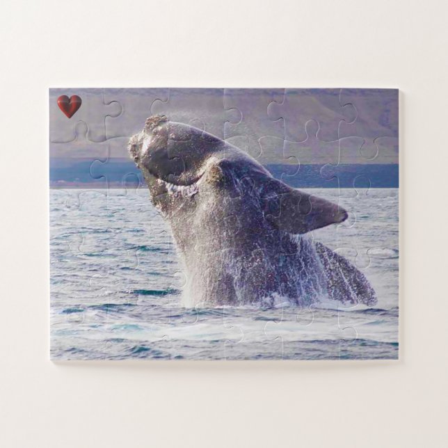 Right Whale Jigsaw Puzzle (Horizontal)