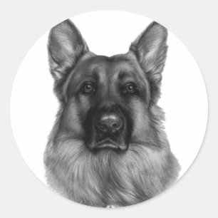 Rikko, German Shepherd Classic Round Sticker