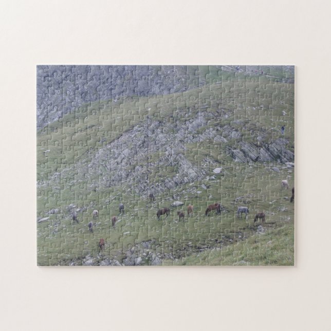 Rila Mountain Seven Lakes Wild Horses Bulgaria Jigsaw Puzzle (Horizontal)
