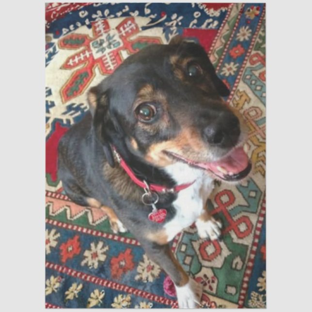 Riley 2 tissue paper (Front)