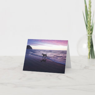 'Riley Brown' Great Dane at Sunset Card