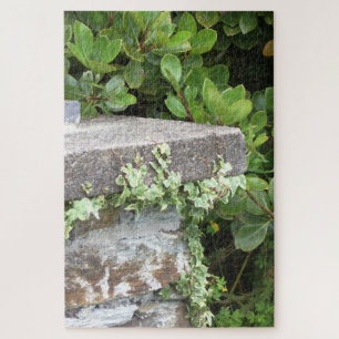 Rincón de Jardín con Hojas de Hiedra en Pilar Jigsaw Puzzle