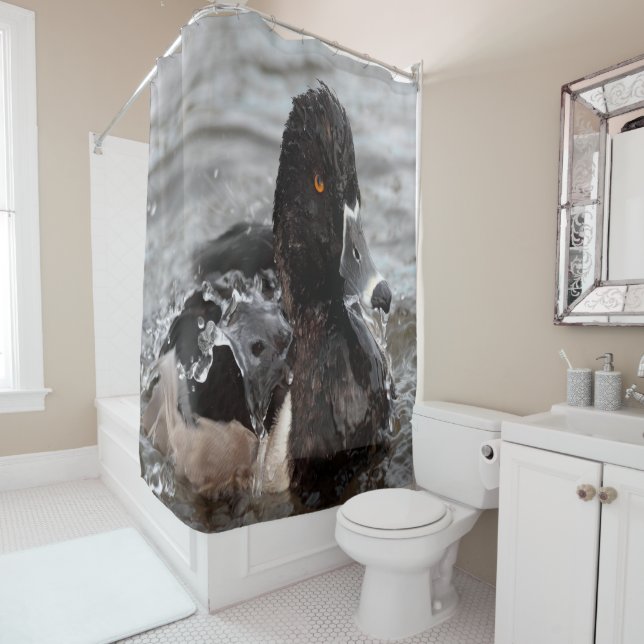 Ring-Neck duck splashing Shower Curtain (In Situ)