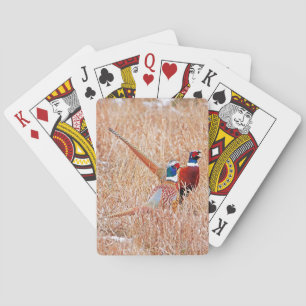 Ring Neck Pheasant Bicycle Playing Cards