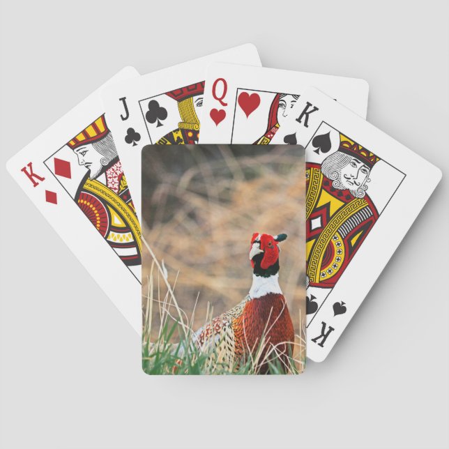 Ring Neck Pheasant Bicycle Playing Cards (Back)