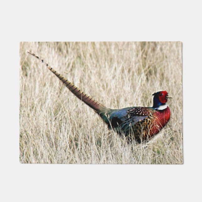 Ring Neck Pheasant in Meadow Doormat (Front)