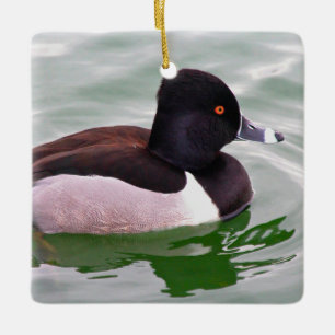 Ring Necked Duck Ceramic Ornament
