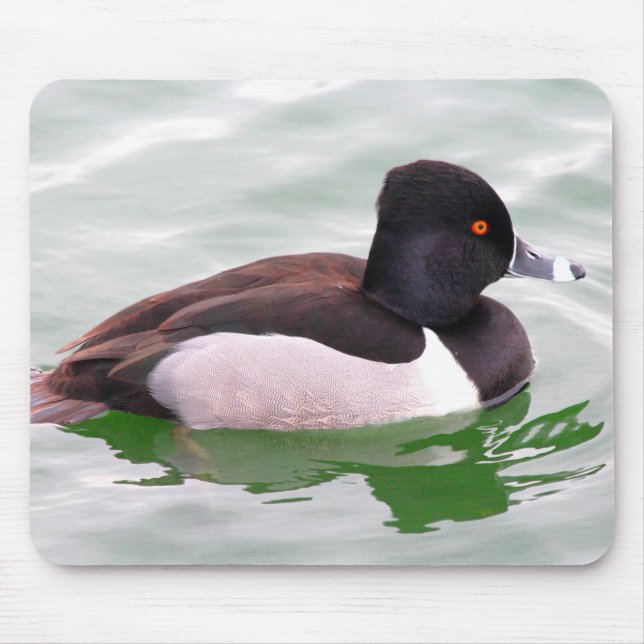 Ring Necked Duck Mouse Pad (Front)