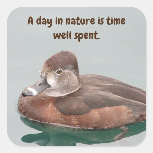 Ring-necked Duck Photo Beautiful Brown Female Bird Square Sticker (Front)