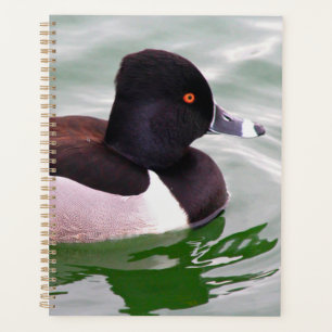 Ring Necked Duck Planner
