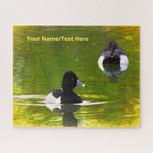 Ring-Necked Ducks Black & White Birds Green Water  Jigsaw Puzzle
