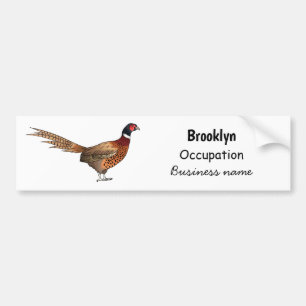 Ring-necked pheasant bird cartoon illustration bumper sticker