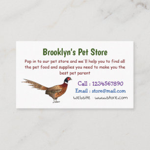 Ring-necked pheasant bird cartoon illustration business card