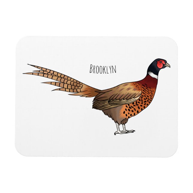 Ring-necked pheasant bird cartoon illustration magnet (Horizontal)