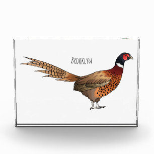 Ring-necked pheasant bird cartoon illustration photo block