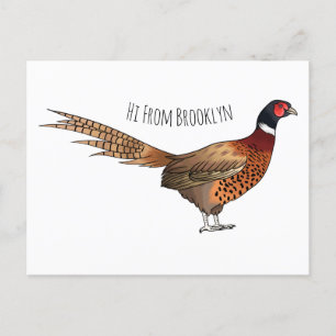Ring-necked pheasant bird cartoon illustration  postcard