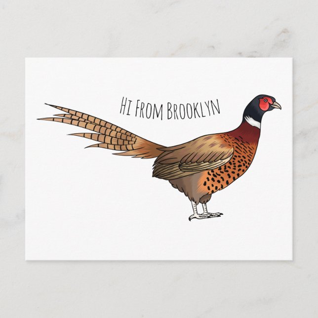 Ring-necked pheasant bird cartoon illustration  postcard (Front)