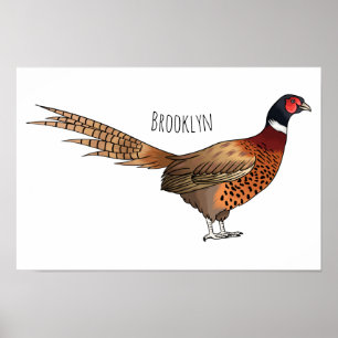 Ring-necked pheasant bird cartoon illustration  poster