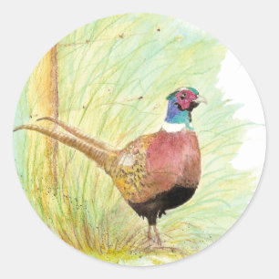Ring Necked Pheasant Bird, Wildlife, Nature Classic Round Sticker