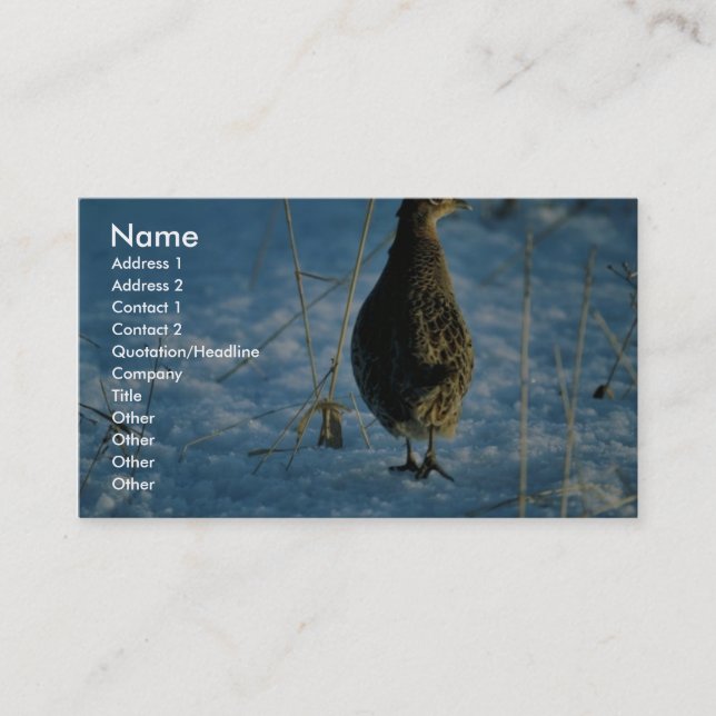 Ring-necked pheasant business card (Front)