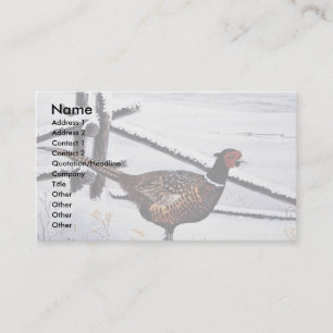 Ring-necked pheasant business card