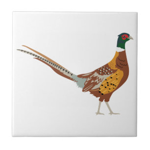 Ring-Necked Pheasant Ceramic Tile