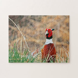 Ring‑Necked Pheasant Jigsaw Puzzle