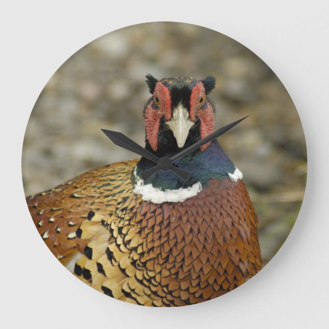 Ring Necked Pheasant Large Clock (Front)