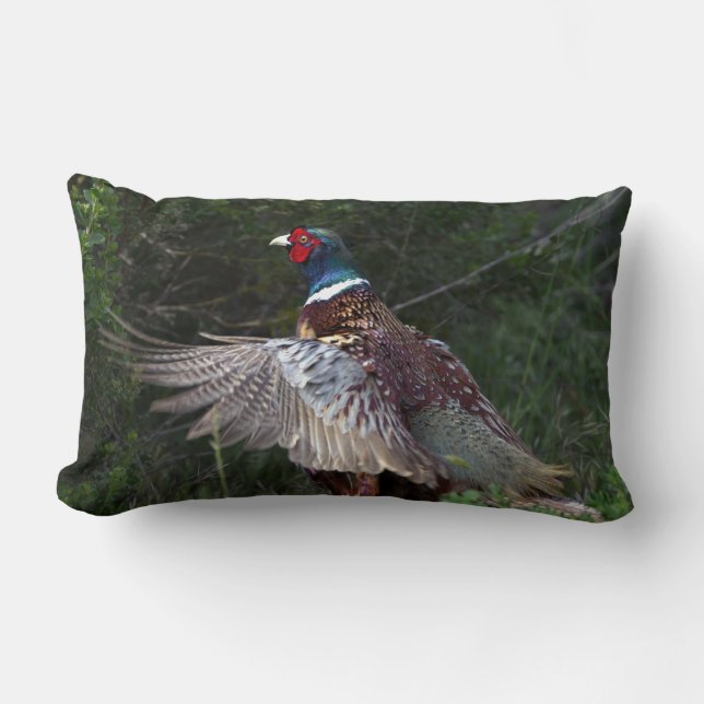 Ring Necked Pheasant Lumbar Cushion (Front)
