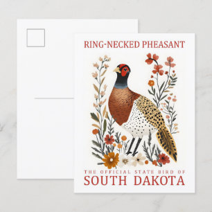 Ring Necked Pheasant of North Dakota Travel Postcard