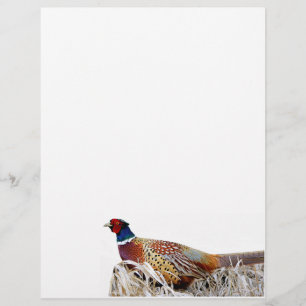 Ring-necked Pheasant Photo Stationery Paper Custom Letterhead