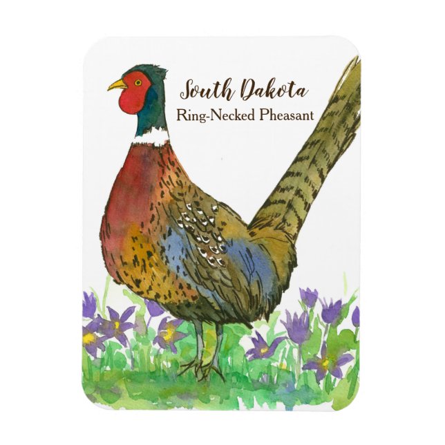 Ring Necked Pheasant Prairie Pasque Flower Custom Magnet (Vertical)