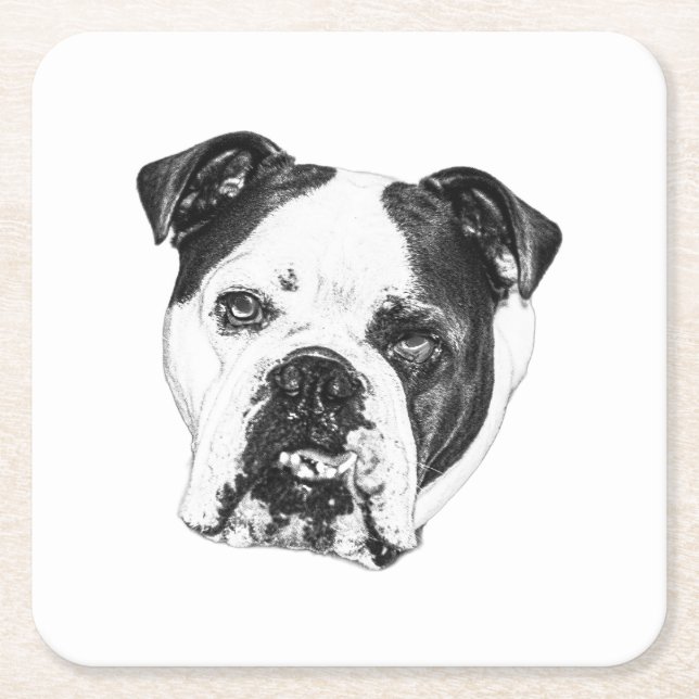 Ring-Safe Bulldog Coaster (Front)