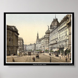 Ring Street, Budapest, Hungary Poster