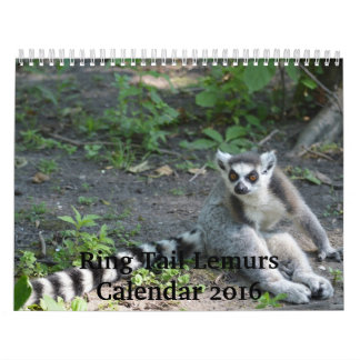Ring Tail Lemurs 2016 Calendar