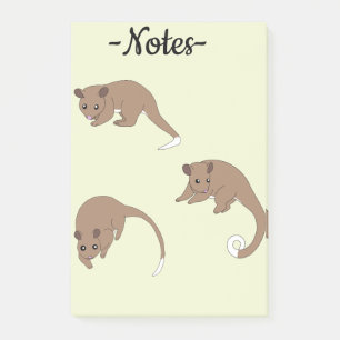 Ring Tail Possums Post-it Notes