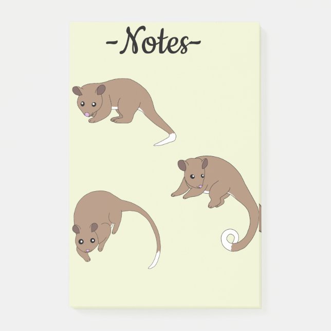 Ring Tail Possums Post-it Notes (Front)