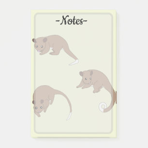 Ring Tail Possums Post-it Notes