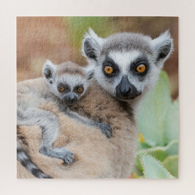 Ring-Tailed Lemur Baby on its Mother's Back Jigsaw Puzzle (Vertical)