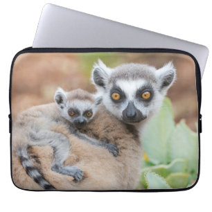 Ring-Tailed Lemur Baby on its Mother's Back Laptop Sleeve