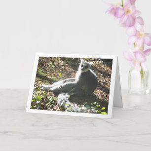 Ring-tailed lemur card