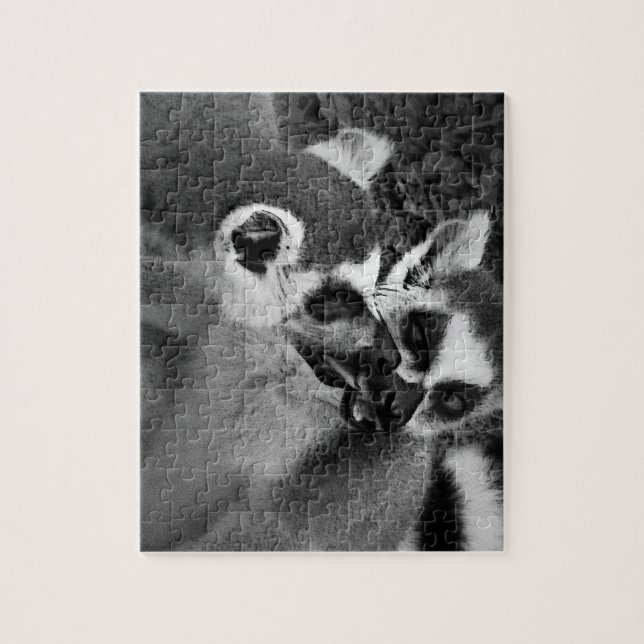 Ring tailed lemur couple eating watermelon jigsaw puzzle (Vertical)