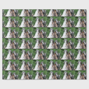 Ring-tailed Lemur Family Wrapping Paper