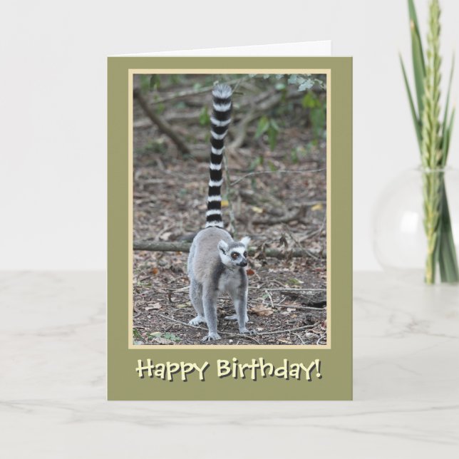 Ring-Tailed Lemur Happy Birthday Card (Front)