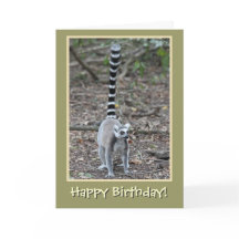 Ring-Tailed Lemur Happy Birthday