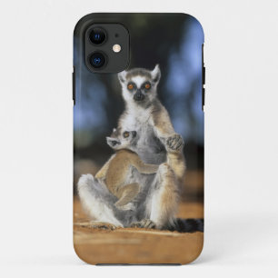 Ring-tailed Lemur, (Lemur catta), Mother and iPhone 11 Case