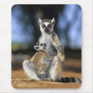 Ring-tailed Lemur, (Lemur catta), Mother and Mouse Pad